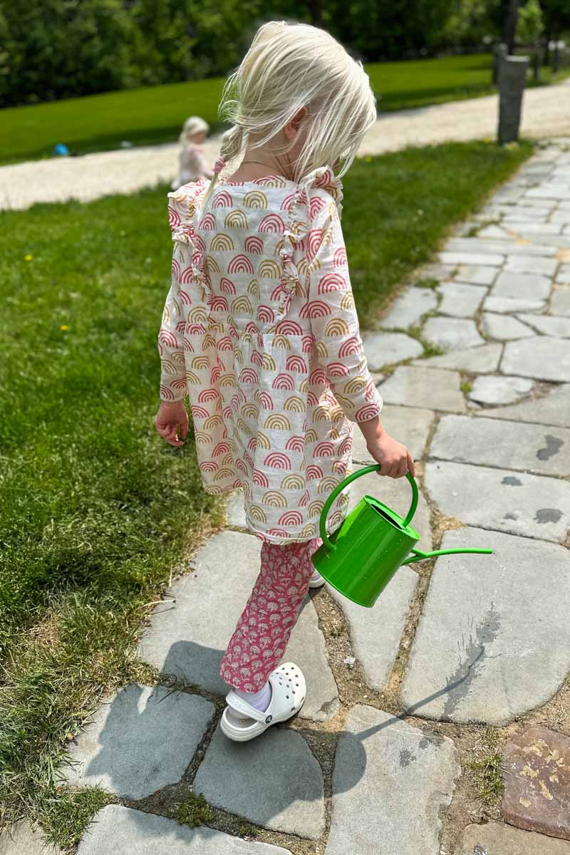 Little Fry Little Dress - Family Rainbow Organic