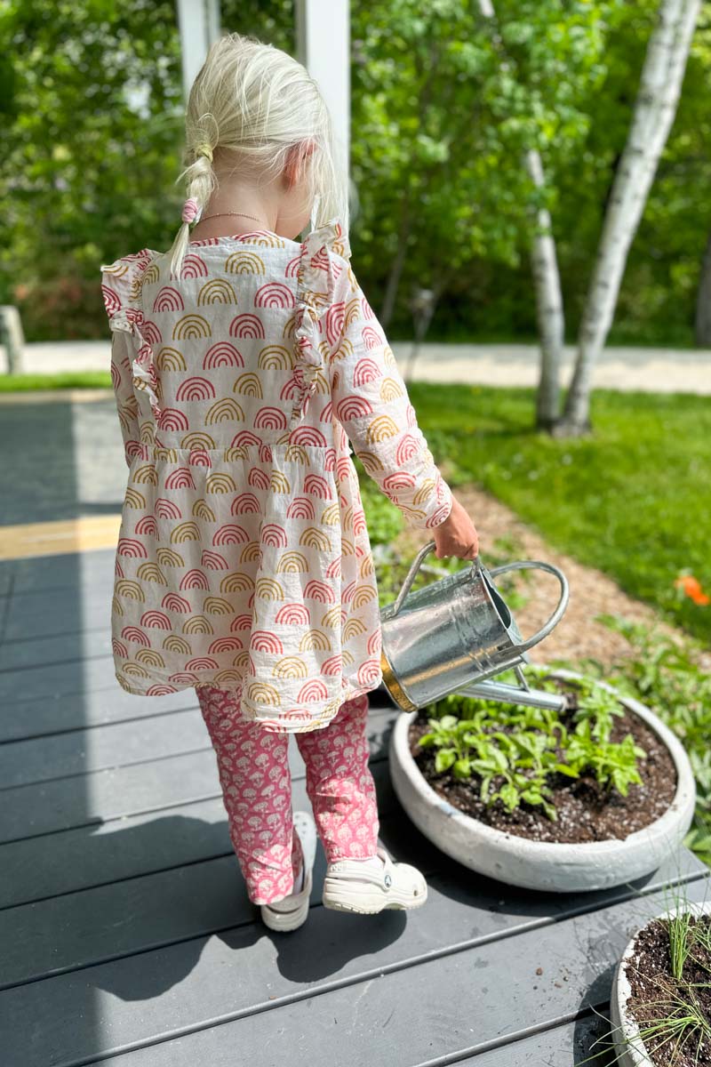 Little Fry Little Dress - Family Rainbow Organic