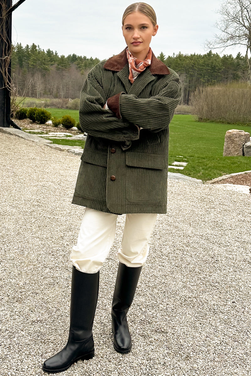 American Chino - Ivory