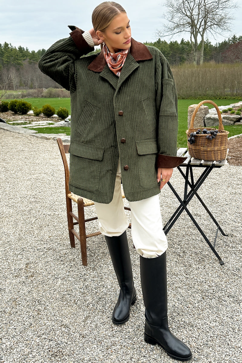 American Chino - Ivory