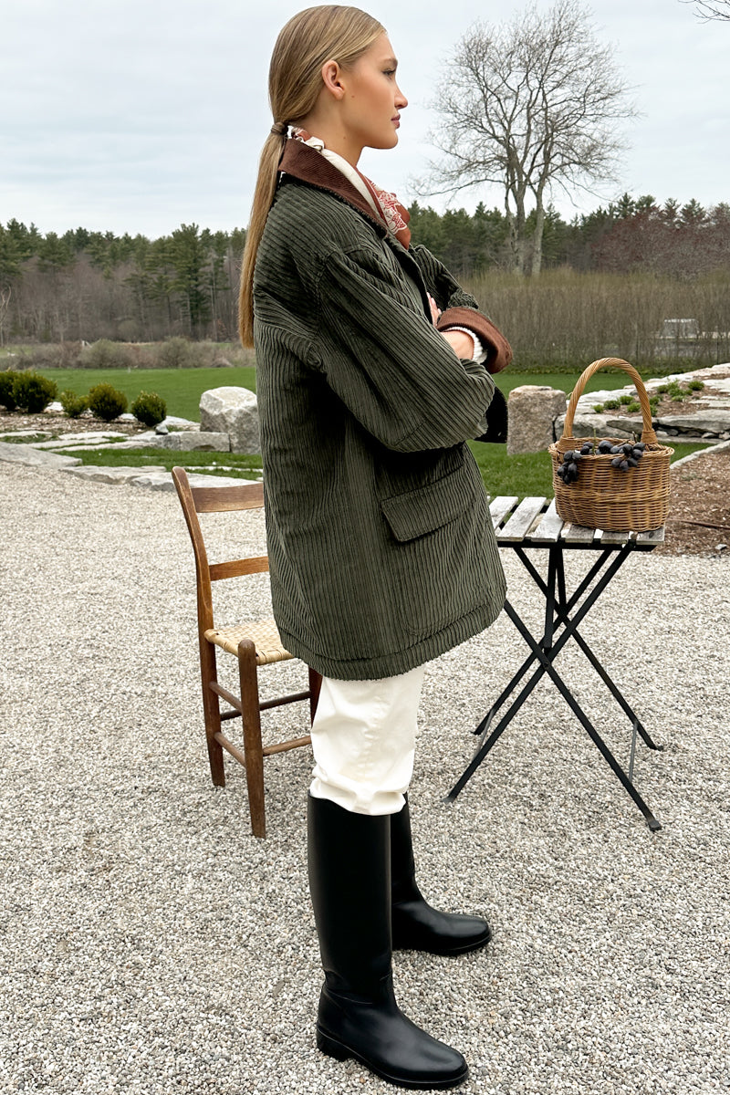 American Chino - Ivory