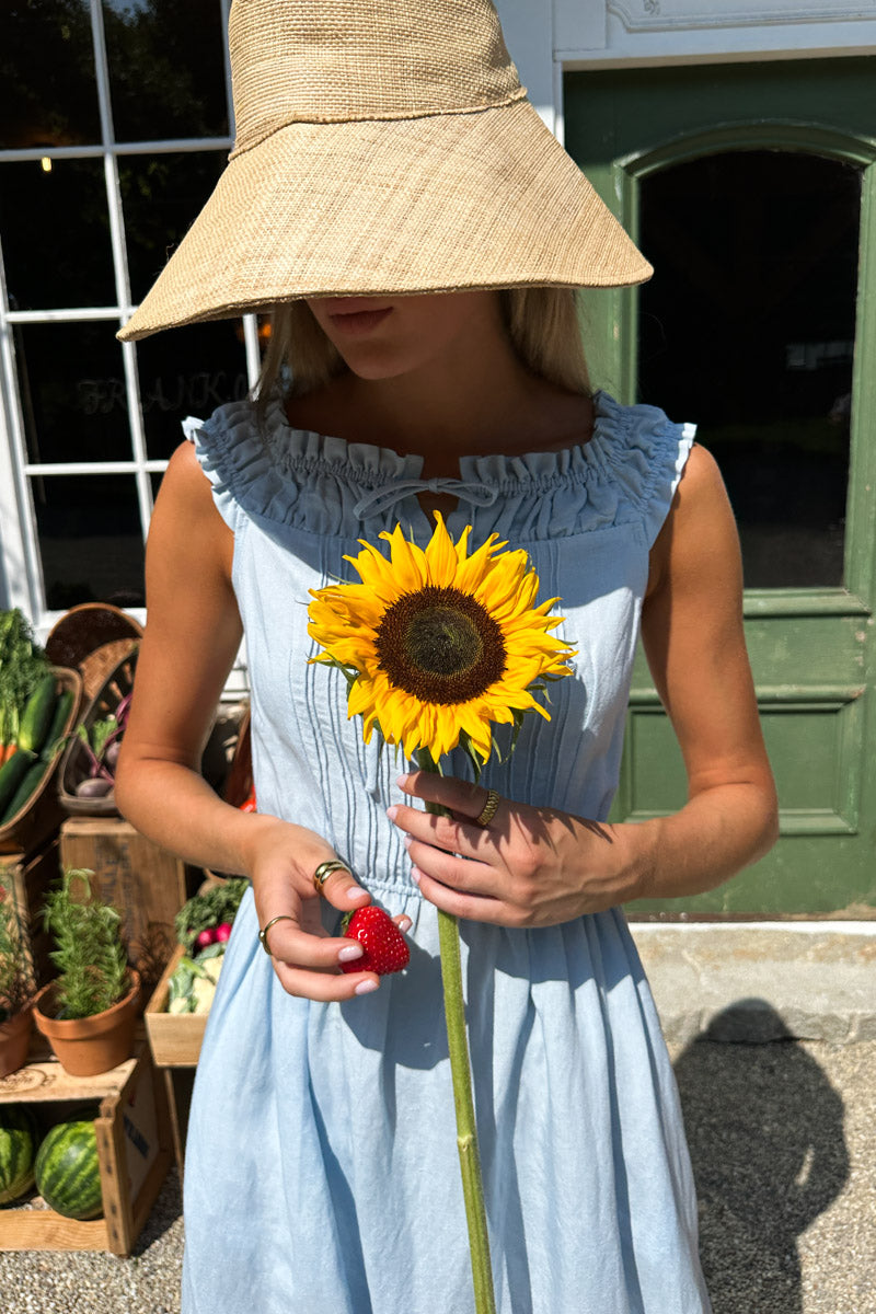 Roussillon Dress - Skywriting
