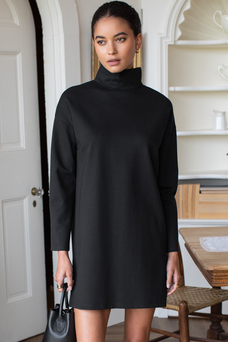 Edie Turtleneck Dress - Black Ponte