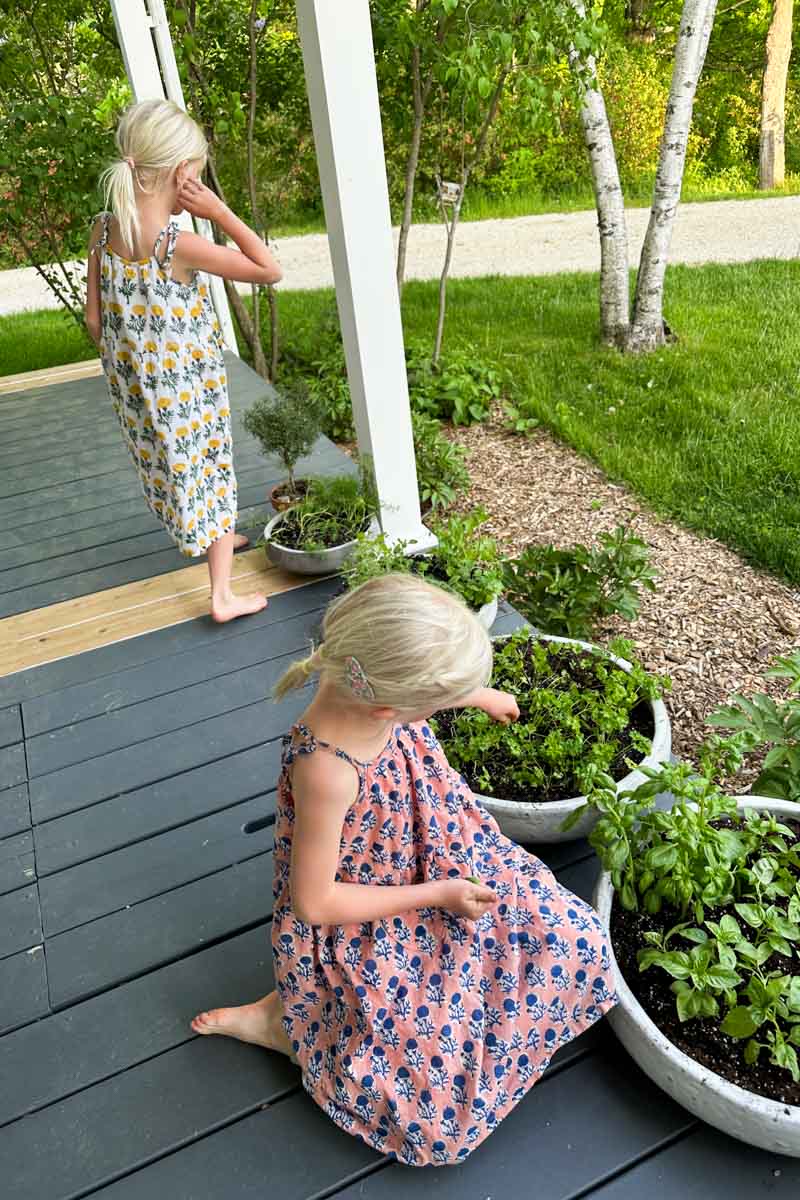 Little Fry Sunshine Dress - Little Marigolds Apple + Blue Organic