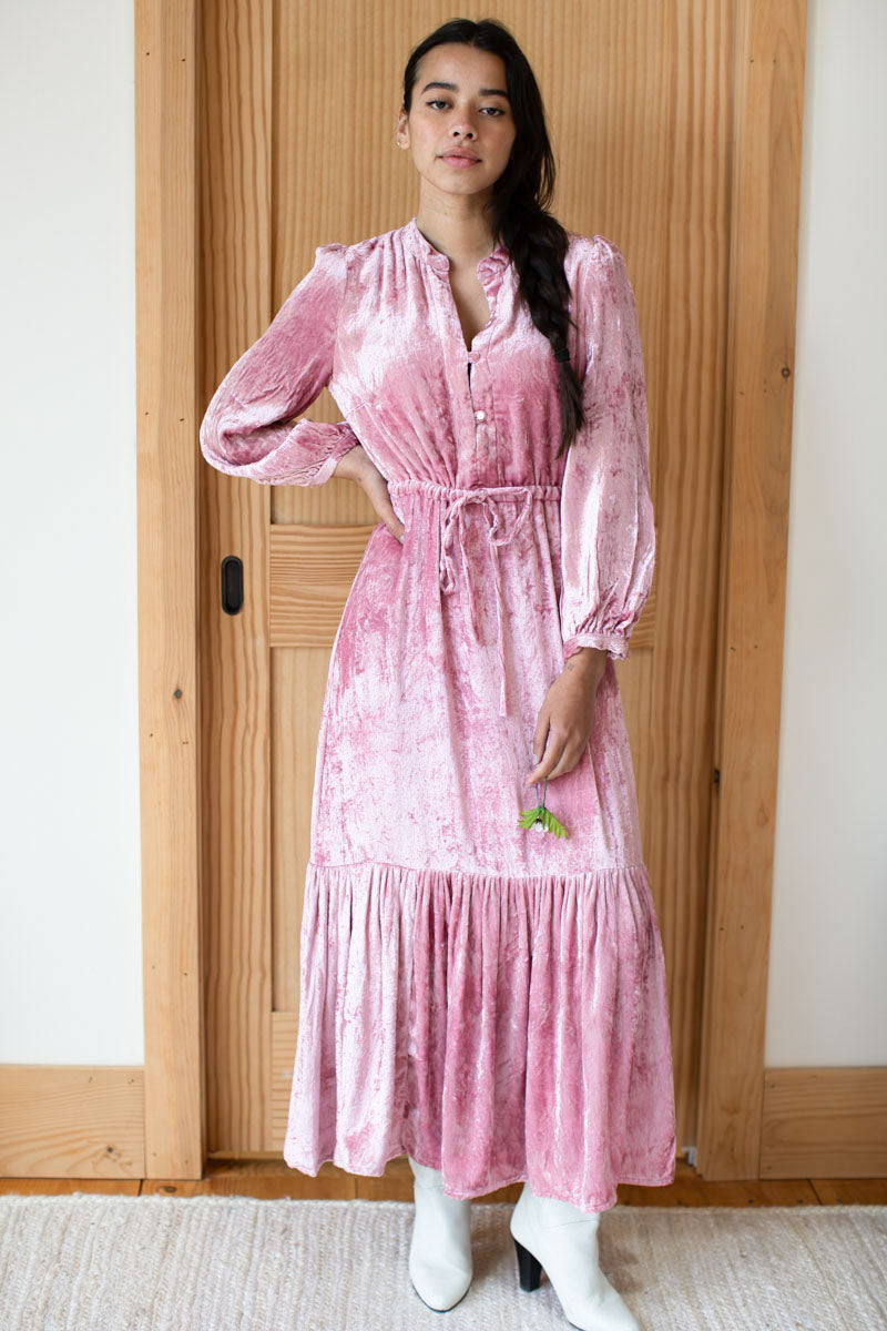 Frances Dress 2 - Rose Tan Silk Velvet